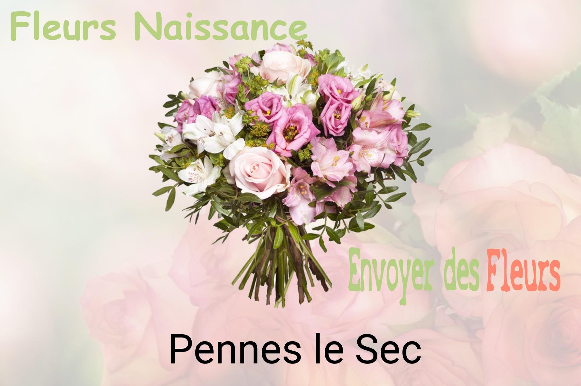 Bouquet de fleurs de naissance livré à Pennes-le-Sec
